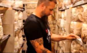 photo Plongez dans la culture des champignons avec Florian