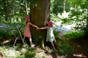 photo Sylvothérapie ou bien-être par la forêt