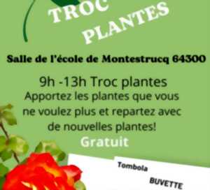 photo Troc Plantes