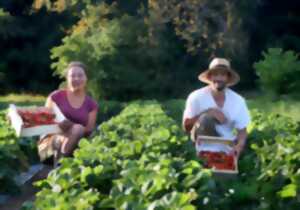 photo Visite d'une exploitation de fruits bio - Le Champ des Gourmands