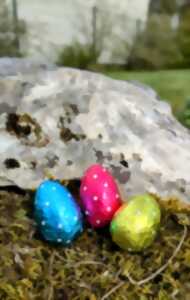 photo CHASSE AUX OEUFS