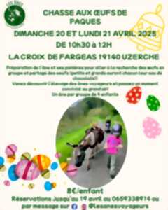 photo Chasse aux œufs de Pâques avec les Ânes Voyageurs