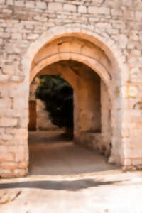 photo VISITE GUIDÉE VIOLS-LE-FORT SAISON 2025