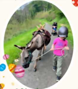 photo Chasse aux œufs de Pâques avec les Ânes Voyageurs