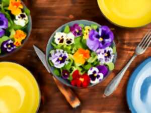 photo Les fleurs et les plantes sauvages comestibles