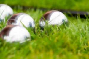 photo Concours de pétanque