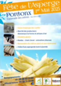 photo Fête de l'Asperge