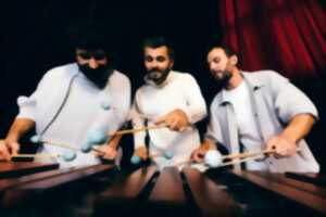 photo Festival de Musique en Albret : SR9 Ensemble de percussions Métamorphose