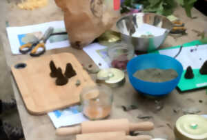 photo Les secrets des plantes aromatiques