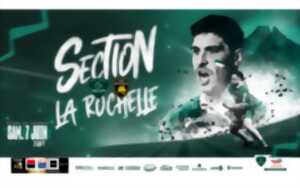 photo Rugby TOP14 Section Vs Toulon