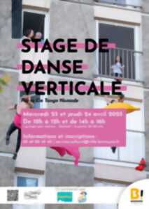 photo Stage de danse verticale