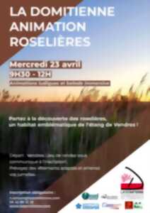 ANIMATION ROSELIÉRES