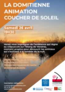 ANIMATION COUCHER DU SOLEIL