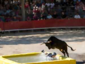 photo TORO PISCINE