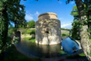 photo Visite guidée VAH : Mézières, cité fortifiée