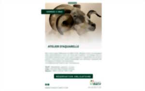 photo Atelier d'aquarelle