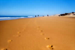 photo Nettoyons la plage