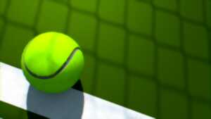 Tournoi de tennis doubles