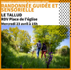 Randonnée guidée au Tallud