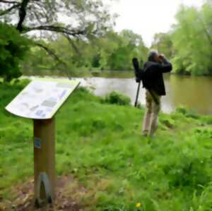 photo Visite des étangs de Narbonne au fil des saisons