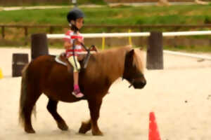 STAGES DE PINTEMPS : BABY PONEY