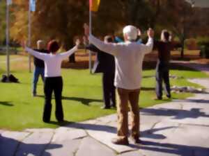 photo Cours de QI GONG pour ADULTES
