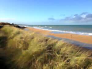 photo Exposition : la plage, une nature cachée