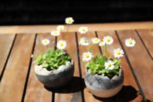 photo Atelier Raku