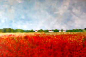 photo Exposition | Philippe DELABALLE - Peinture
