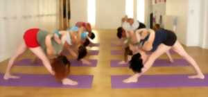 photo Cours de yoga postural en groupe de 10 personnes (adulte/ados + 15 ans)