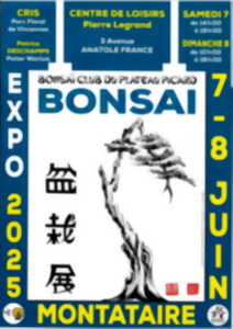 photo Exposition démonstration l'univers du BONSAI