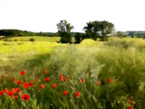 photo Qu'est ce qui se trama dans la prairie ?