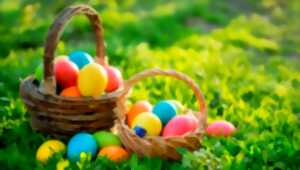 photo Chasse aux oeufs dans les vignes