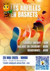 photo COURSE LES ABEILLES EN BASKETS