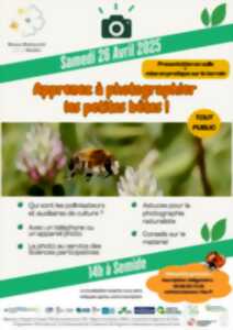 Apprenez à photographier les petites bêtes !