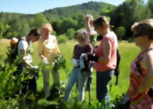 Sortie nature autour des oiseaux