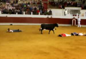 photo Course landaise mixte
