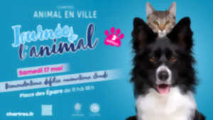 photo Journée de l'animal