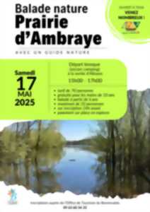 photo Balade nature de la prairie d'Ambraye