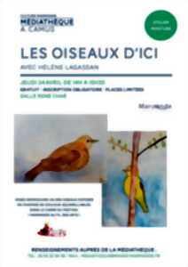 Atelier Peinture - Les oiseaux d'ici à la Médiathèque