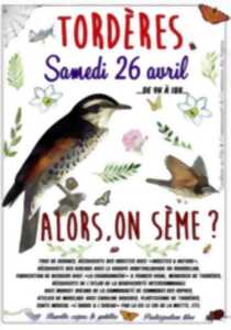 photo ALORS ON SÈME?