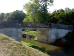 Fête de la Saint Cochon