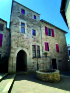 photo VISITE INSOLITE DU VILLAGE DE LA SALVETAT-SUR-AGOUT
