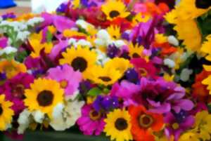 photo Marché aux fleurs et vide grenier