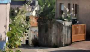 photo Visite en Gyropode : Entre Ville Haute et Ville Basse
