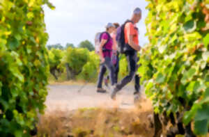 photo Randonnée pédestre et repas