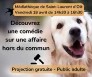 photo Réunion d'informations à St Laurent d'Olt
