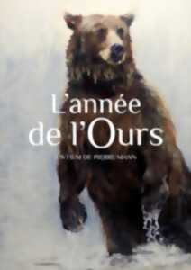 photo L’année de l’ours