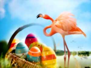 photo Pâques à la Réserve de la Haute Touche