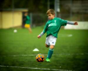 Multi sport tour